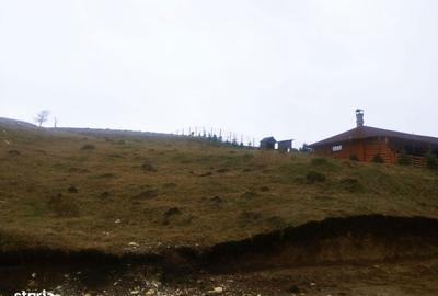 Spațiu comercial, în Paltin - 6