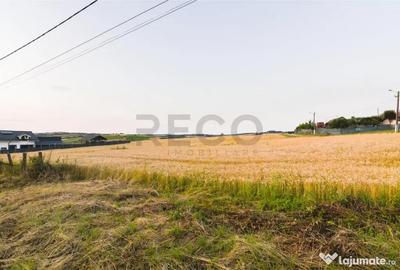Teren de 1000 mp, în Lăzăreni - 2