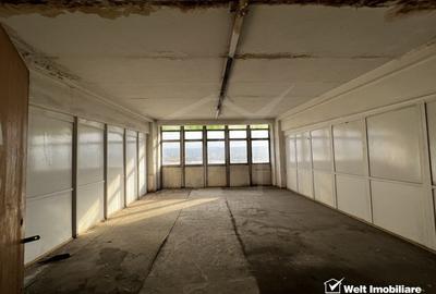 Imobil 2.738mp, destinatie mixta, blvd Muncii zona Terapia - 3