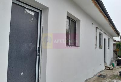 Casă cu 2 camere în Roșu - 16