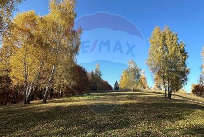 Oportunitate de investiție ! Teren de vis în Pestera - 125.370 mp - 24