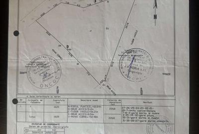 Spațiu comercial, în Râu Alb de Jos - 2