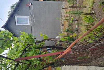 Casa de vinzare - 7