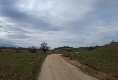 Vand teren Sibiu 5700mp - 6