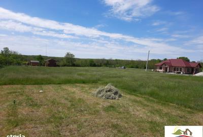 Spațiu comercial, în Albota - 4