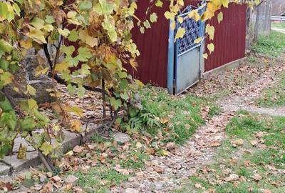 Vand casa su gradina , Baiceni , Judetul Iasi - 9