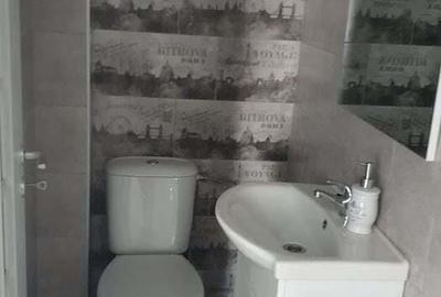 Garsoniera de inchiriat in zona Piata Victoriei - 2