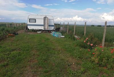 Teren de 35000 mp, în Exterior Vest - 5