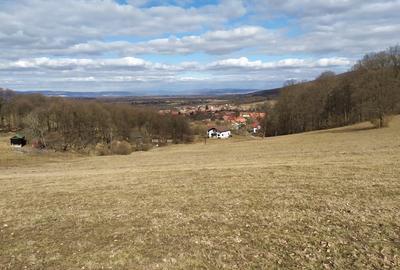 Teren de 4041 mp, în Dobârlău - 2