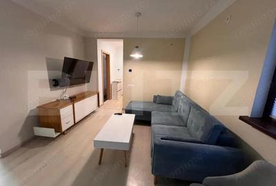 Apartament cu 3 camere semidecomandat în Grigorescu - 2