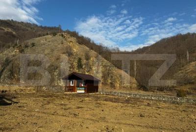 Teren intravilan cu cabanu?a, 3797 mp, Valea Manastiri - 4