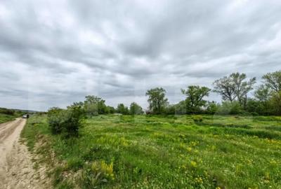 Teren de 6100 mp, în Central - 4