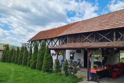 Domeniu Pensiune Transfagarasan 20855 Domeniu Pensiune Transfagarasan 20855 - 4