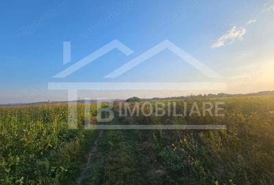 Teren de 1476 mp, în Periferie - 4