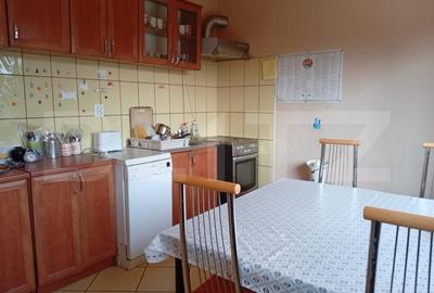 Casa superba in Talmacel, cu curte verde si priveliste panoramica spre munti - 4