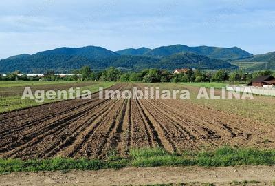 Teren de 4094 mp, în Șoimuș - 2