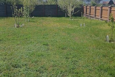 Casă cu Teren 2800 Mp în Aldeni - 2