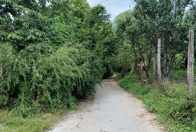 Casa si livada, de vanzare in localitatea Pausesti-Maglasi, sat Coasta. - 1