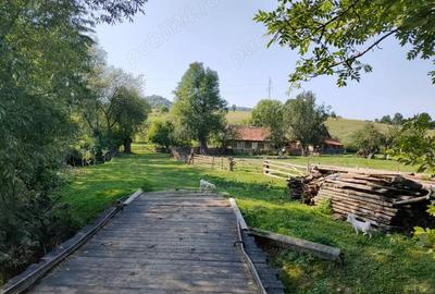 Teren de 4473 mp, în Acriș - 10