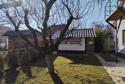 Duplex cu teren 1000 m.p. - Drumul Muntenilor - 22