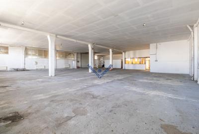 Spațiu industrial - Hală Oligopol - 9