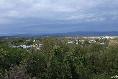 Casă cu 5 camere cu Teren 398 Mp în Băicoi - 1