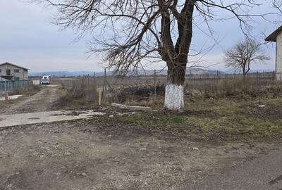 Spațiu comercial, în Livada - 1