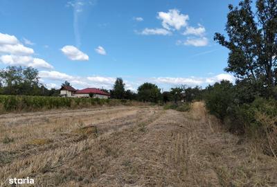 Spațiu comercial, în Valea Călugărească - 2