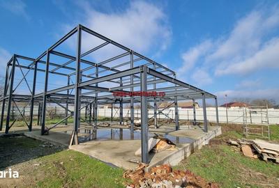 Casă cu 5 camere cu Teren 2660 Mp în Poarta Albă - 4
