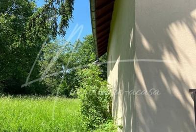 Teren intravilan cu casa- 1740 mp. in Provita de Sus-PH - 27