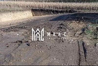 Teren 350 mp I Sura Mare I Autorizatie Casa Parter I Utilități - 3