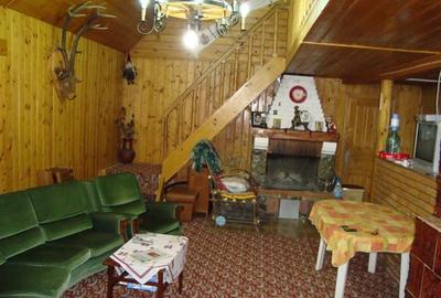 Pensiune turistica (afacere la cheie) Lepsa - 16