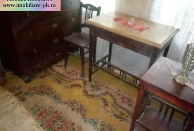 Casă individuală cu 7 camere cu Canalizare în Traian - 6