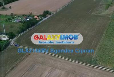 Teren de 1633 mp, în Feldioara - 3