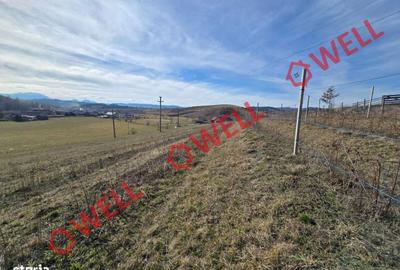 Spațiu comercial, în Barcani - 2