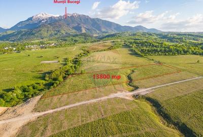 Teren deosebit/ Rasnov/13800 mp/Glajarie-Mestecanis-Poligon - 5