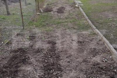 Apartament cu 3 camere decomandat în Mihai Viteazu - 2