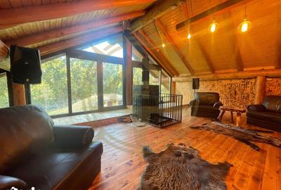 Casă cu 9 camere cu Piscina în Grădiștea - 16