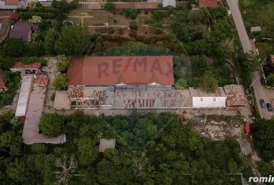 Casă cu 23 camere cu Teren 6177 Mp în Domnești - 3