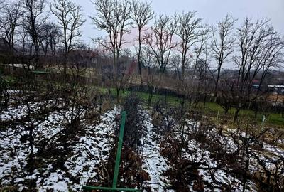 Teren Construcții intravilan de 4516 mp, în Doina - 1