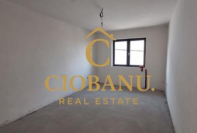 Casa de vanzare zona Damila-Capsunarie - 14