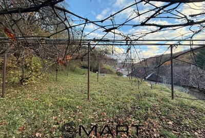 Casă individuală cu 3 camere cu Canalizare în Sighișoara - 14