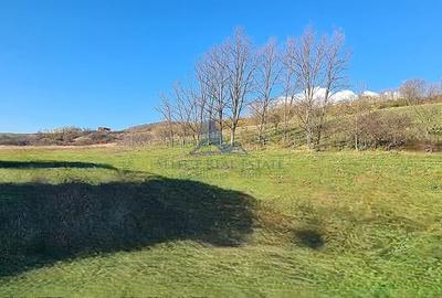 Teren Construcții intravilan de 2500 mp, în Șura Mare - 4