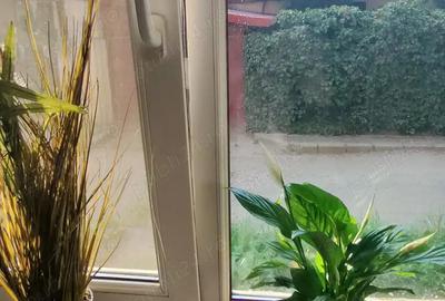 Apartament 1 camera Stadion de vanzare - 9