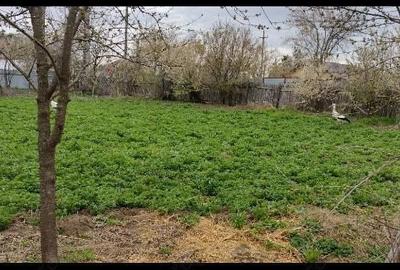 Casă cu 2 camere cu Teren 2000 Mp în Axintele - 6