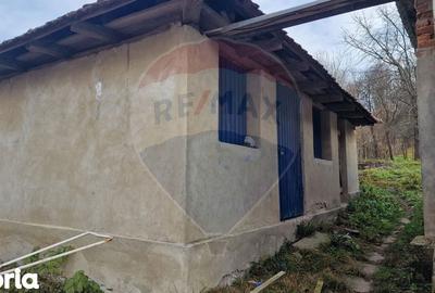 Casă cu 3 camere cu Teren 2500 Mp în Central - 7