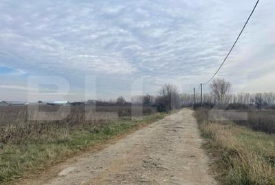 Teren extravilan agricol 5792 mp Popoveni - 3