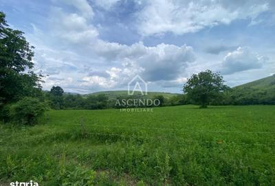 Teren de 15900 mp, în Năeni - 15