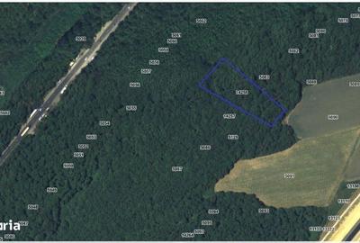 Teren de 5000 mp, în Lunca - 4