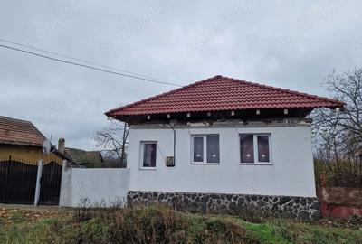 Spre vanzare 2 case in localitatea Alios timisoara - 3